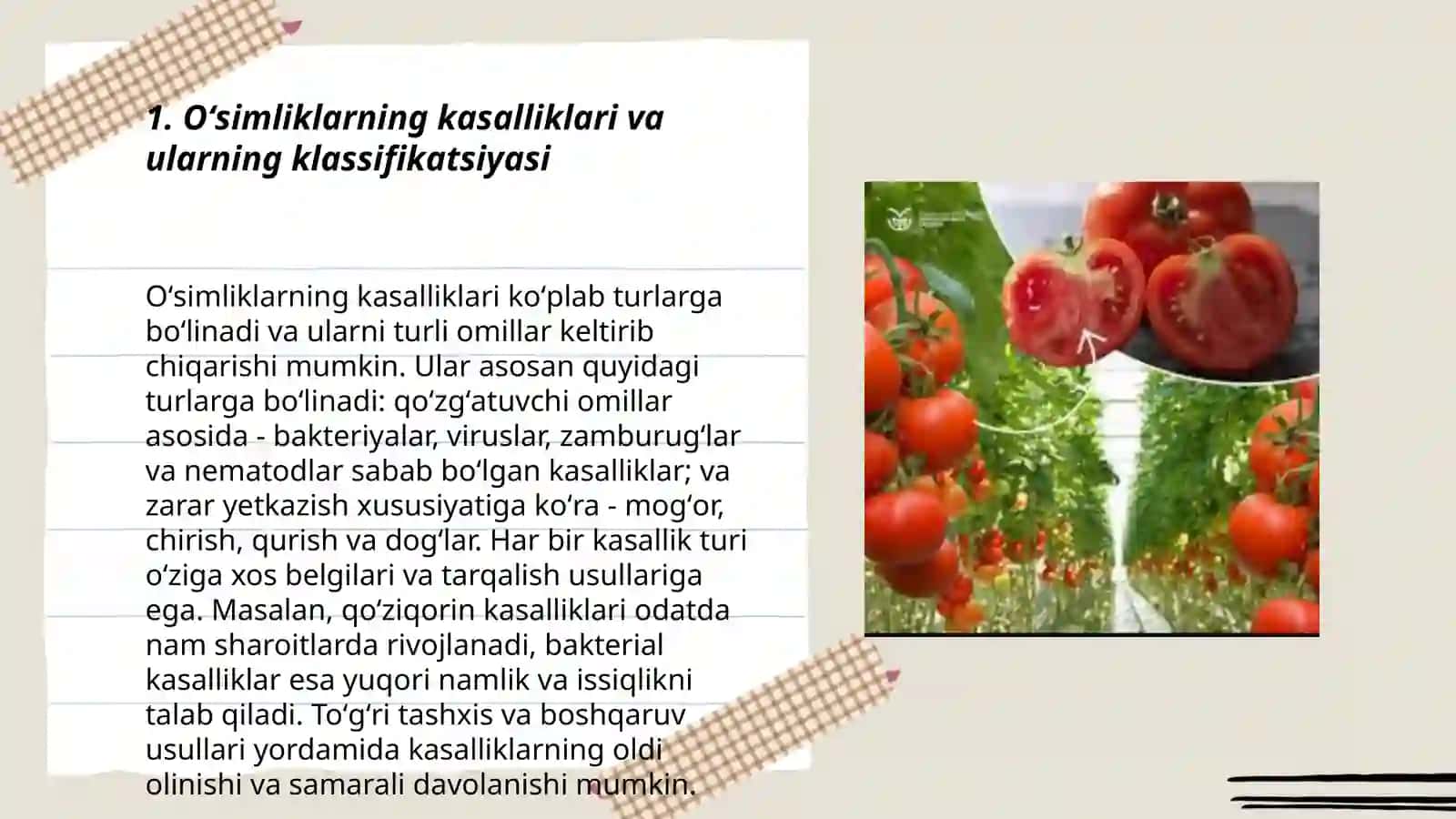 Oʻsimliklar kasallik klassifikatsiya tashqi koʻrinishi 3