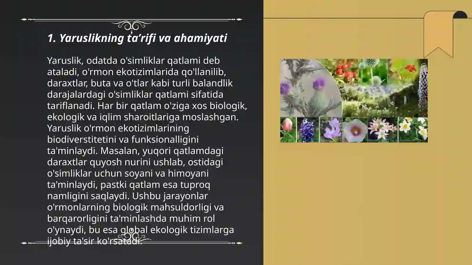 Yaruslikning taʼrifi va ahamiyati 3