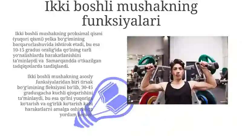 Ikki boshli mushak anatomiyasi 3