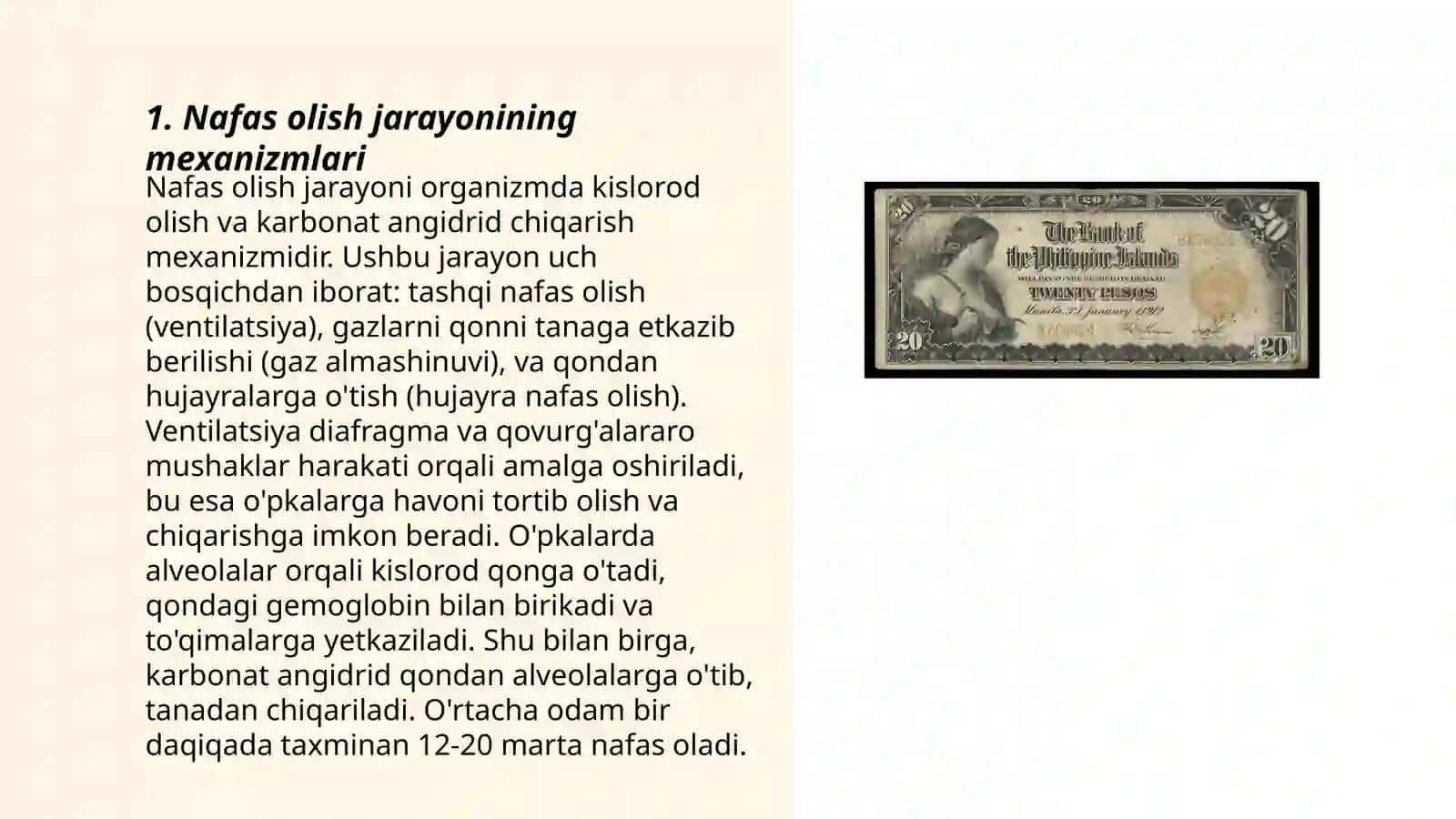 Nafas olish jarayonlari. A.BAX va V.Palavin nazariyasi 3