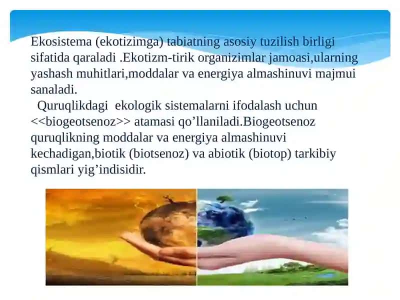 Ekotizimlarning trofik strukturasi 3