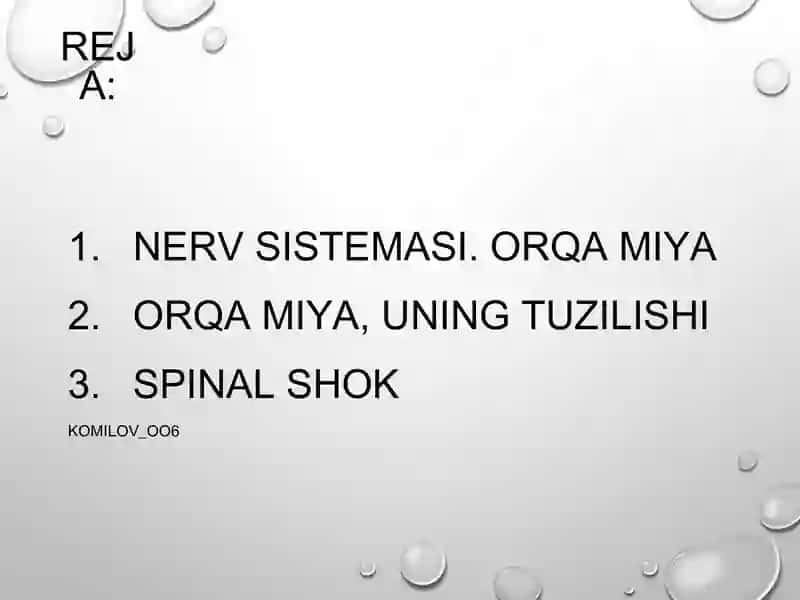 orqa miya 3