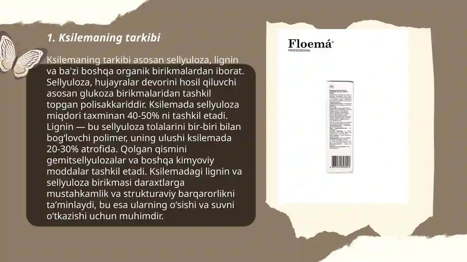 Ksilemaning tarkibi 3