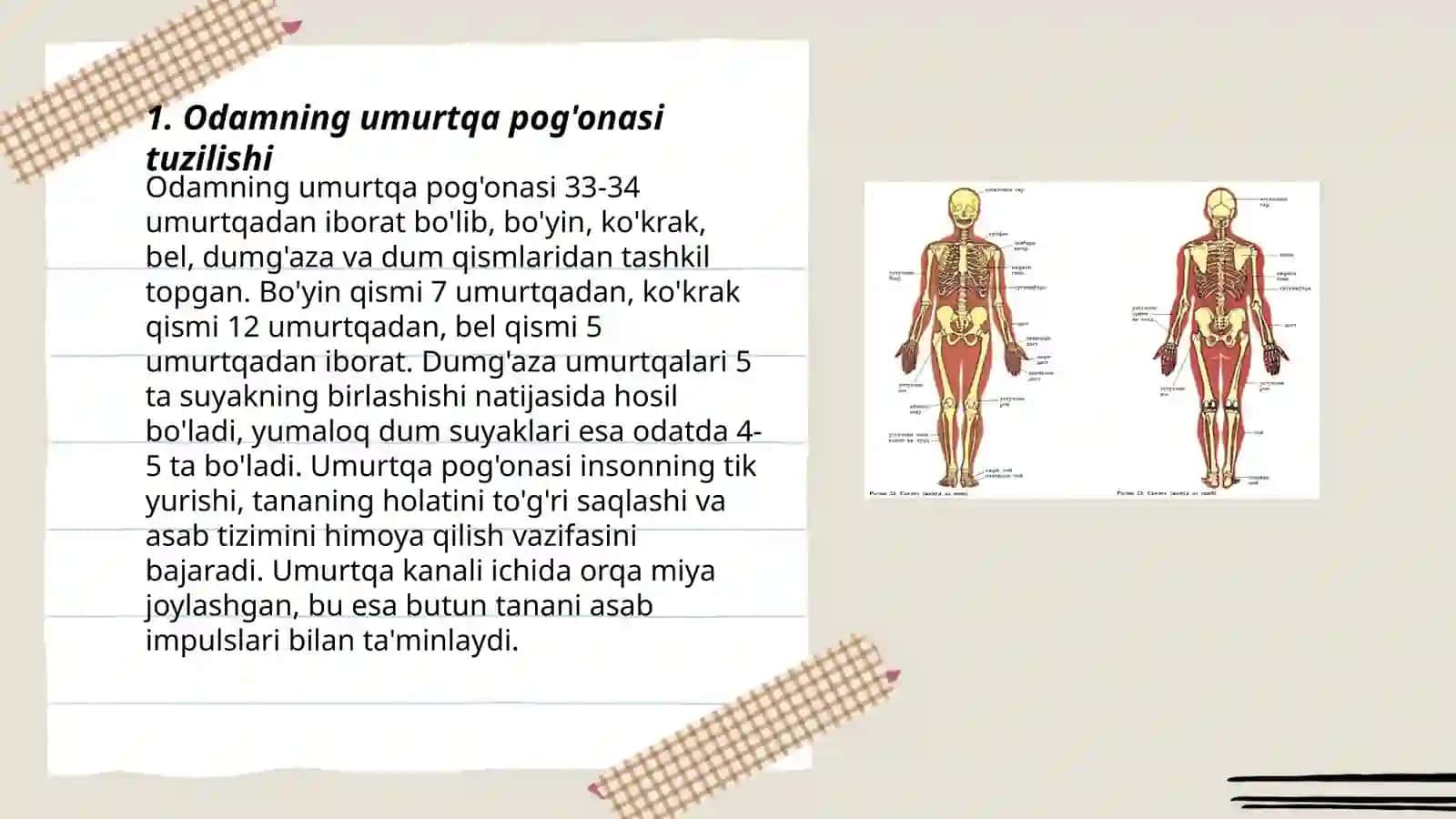 Tabiiy fanlar nazariyasi va metodikasi 3