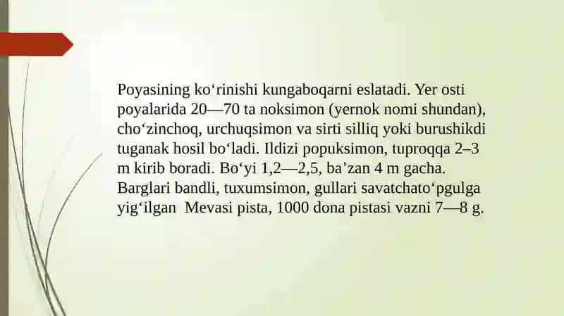 Topinombur marfalogiyasi, biologiyasi va yetishtirish texnologiyasi 3