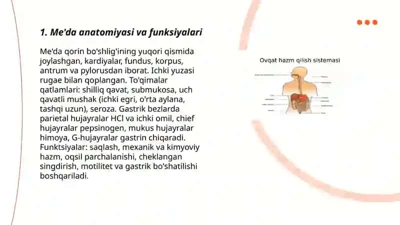 Me'da va ichakda hazim qilish 3