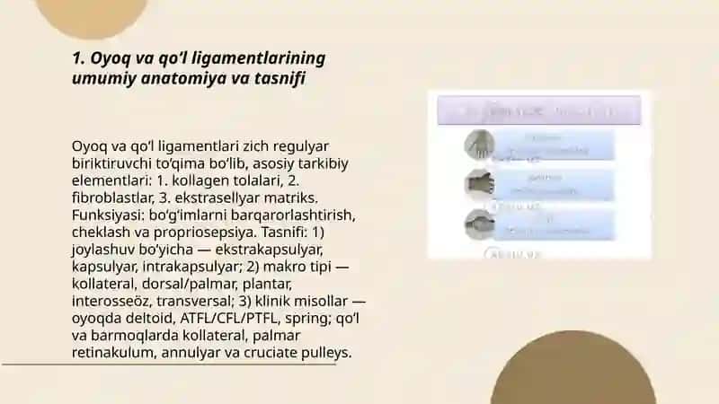 Sindesmologiya oyoq va qol soxalari 3