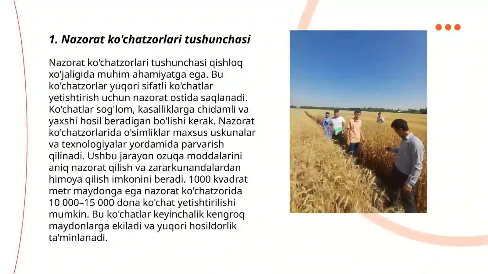Nazorat ko'chatzorlari va uning xillari 3