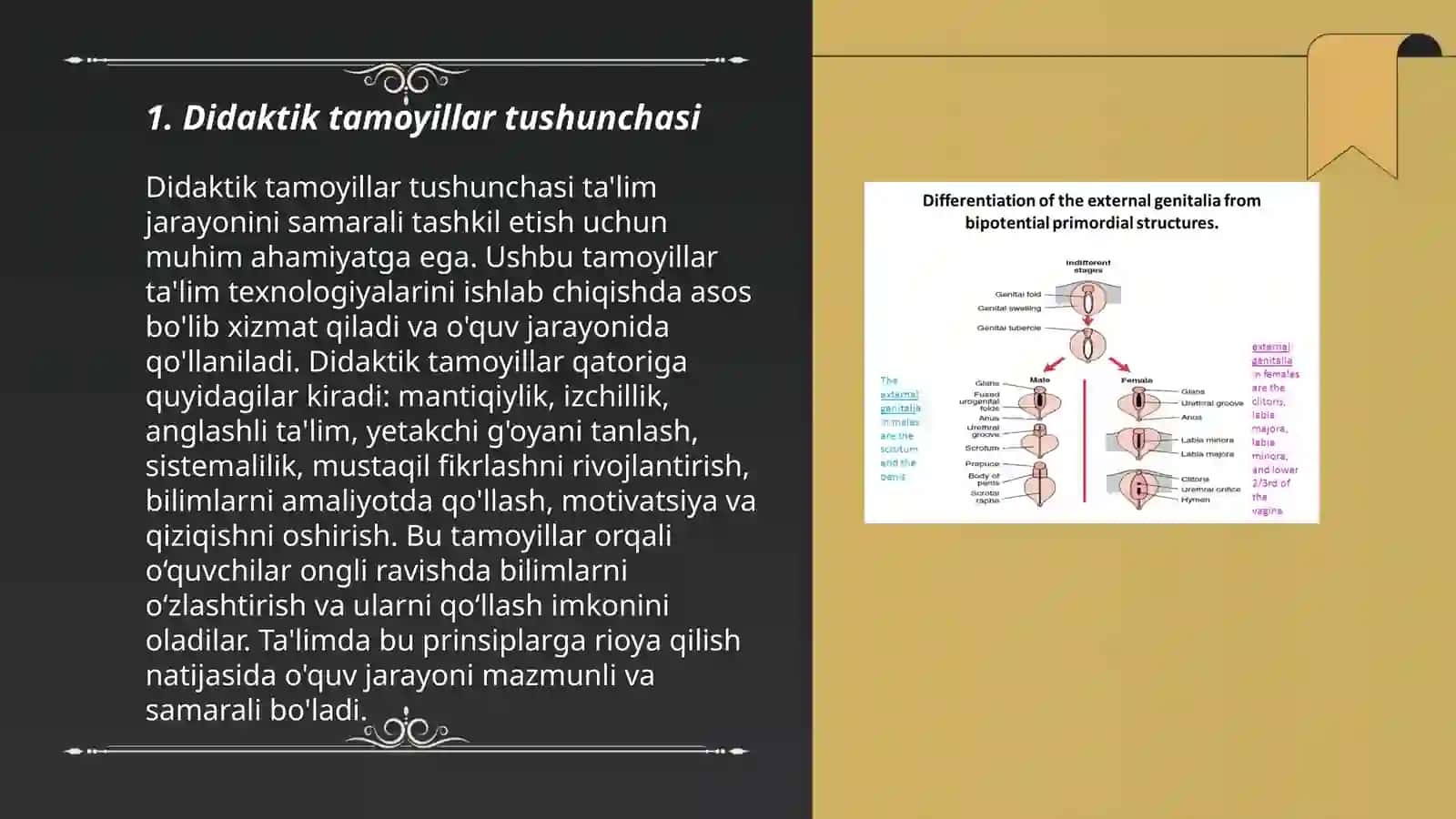 Boshlangʻich taʼlim tabiy fanlar fanida oʻqitishning didaktik tamoyillarini oʻrganish va tahlil qilish 3