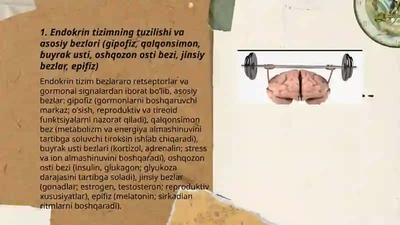 Endokrin tizimning inson organizmi va xulq-atvorning ahamiyati 3