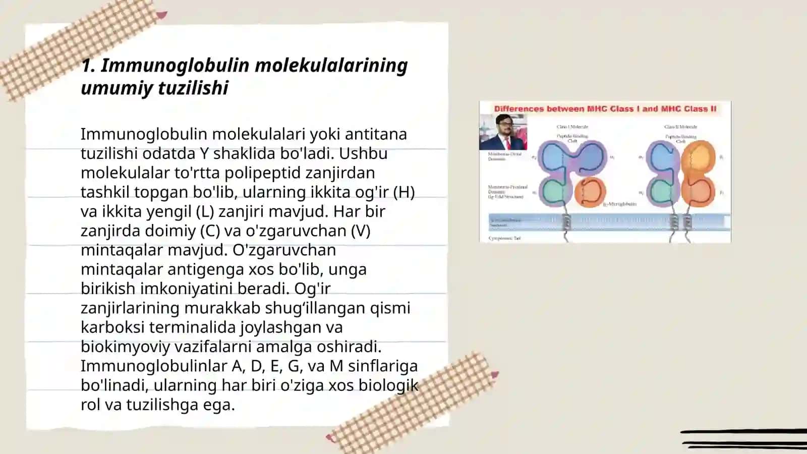 Immunoglobulin molekulasining tuzilishi, yengil va og‘ir zanjirlar molekulasining faol markazi 3