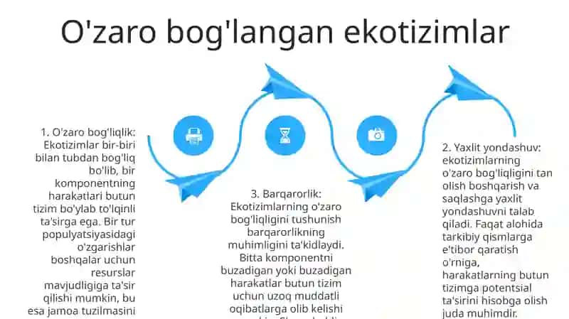 Tabiiy Komponentlar Aloqadorligi Va Ular Bir Butun Majmua Sifatida Ōrganilishi Kerakligi Haqidagi GʻOyalar 3