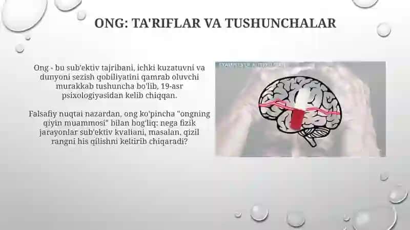 Ongning vujudga kelishi va rivojlanishi 3