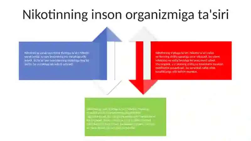 Zararli Moddalarni Odam Organizimiga Tasir Qilishi 3