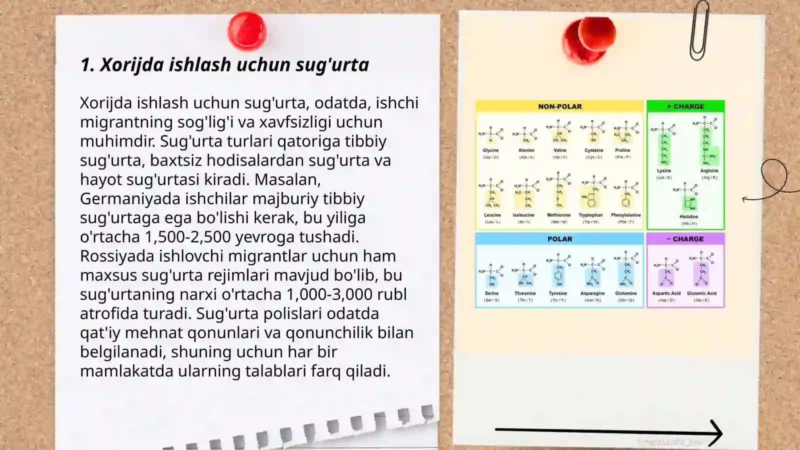 O'zbekiston respublikasidan boshqa davlatlarga ish, o'qish, sahoyat va boshqalar uchun sug'urta turi Yo'ldashev Xumoyun 3