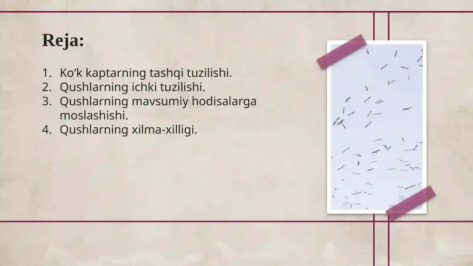 Qushlarning tashqi va ichki tuzilishi 3