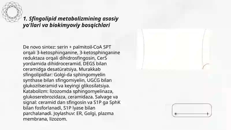 Sfingolipidoz kasalliklarining biokimyoviy mexanizmlari 3