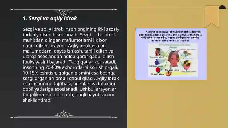 Sezgi 3