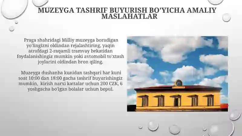 Chexiya milliy muzeyi 3