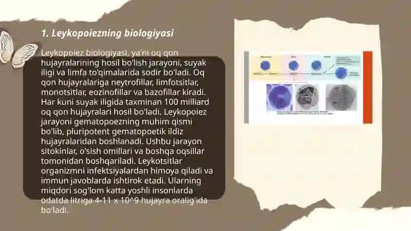 Leykopoezga taʼsir etuvchi moddalar 3