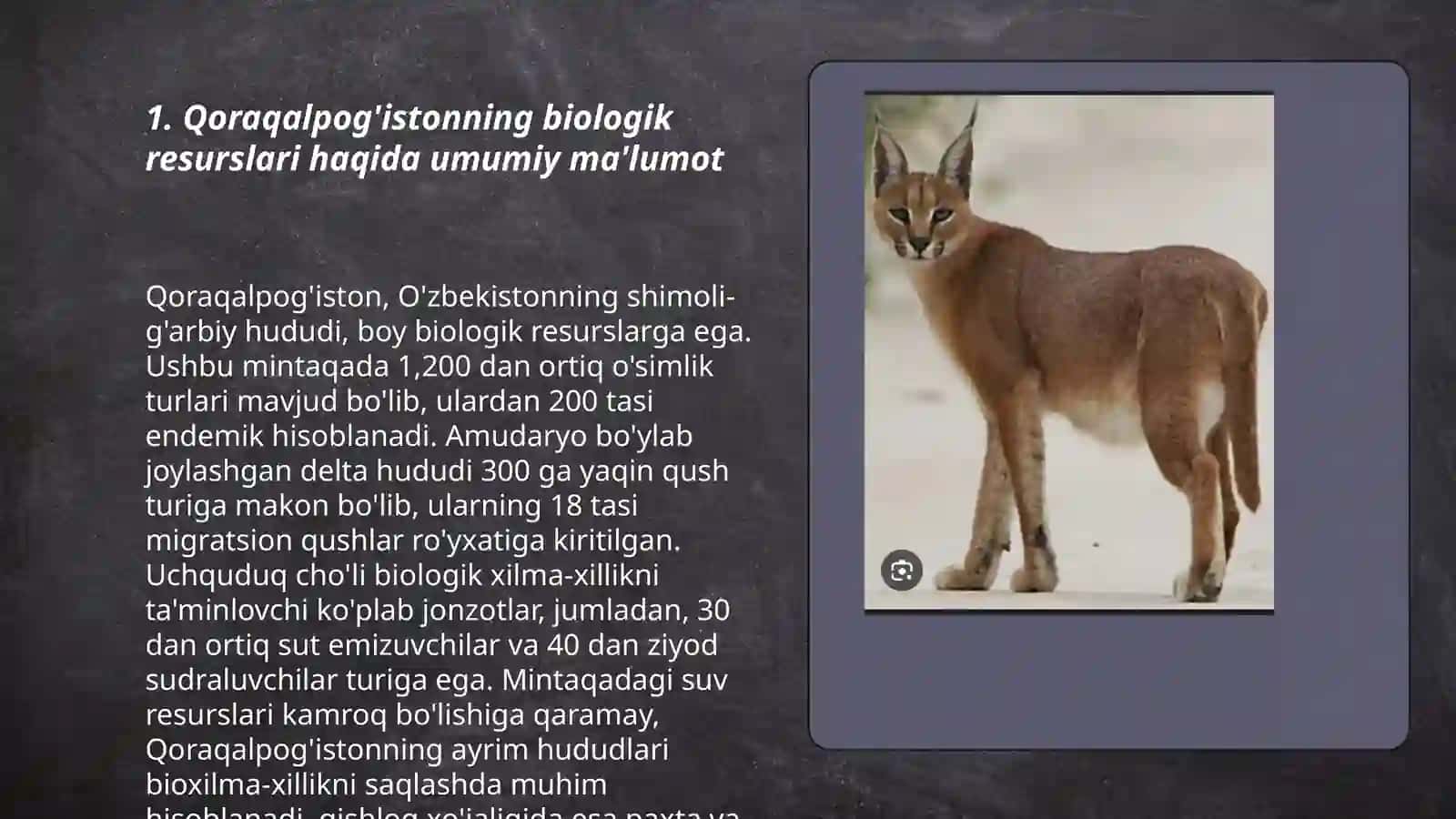 Qoraqalpog'istondagi biologik resurslarning hozirgi holati 3