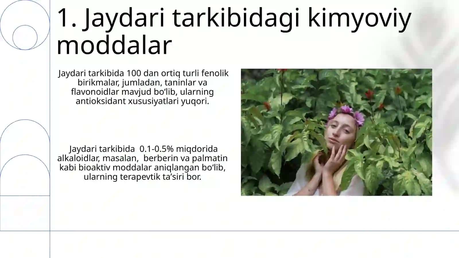 Jaydari Oʻsimligi haqida 3