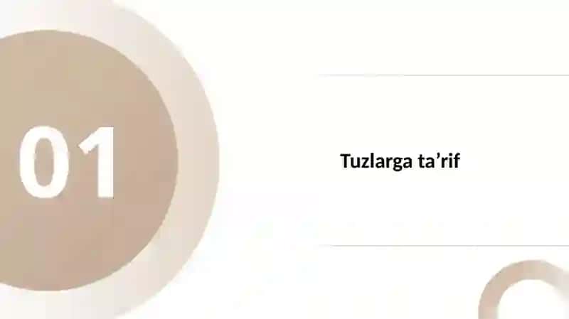 Tuzlarning olishini taqdimot 3