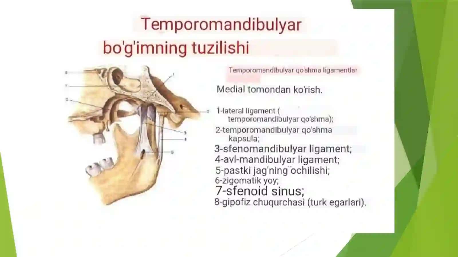 Radiologik Diagnostika Aparatlari. Panoramik Rentgen (OPG) 3
