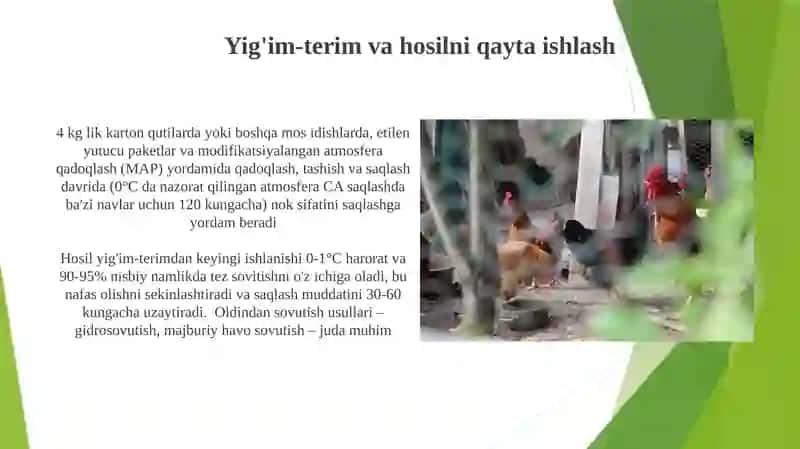 Koreyaning tanga pullari 3