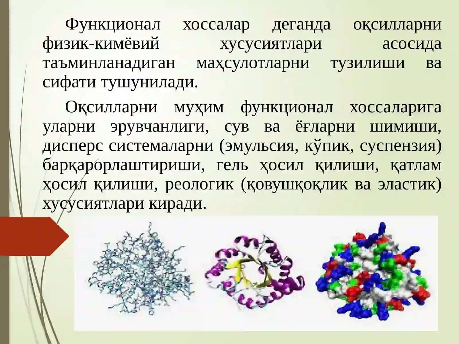 Оқсилларнинг озиқ-овқат саноати учун муҳим бўлган кимёвий ва ферментатив реакциялари 3