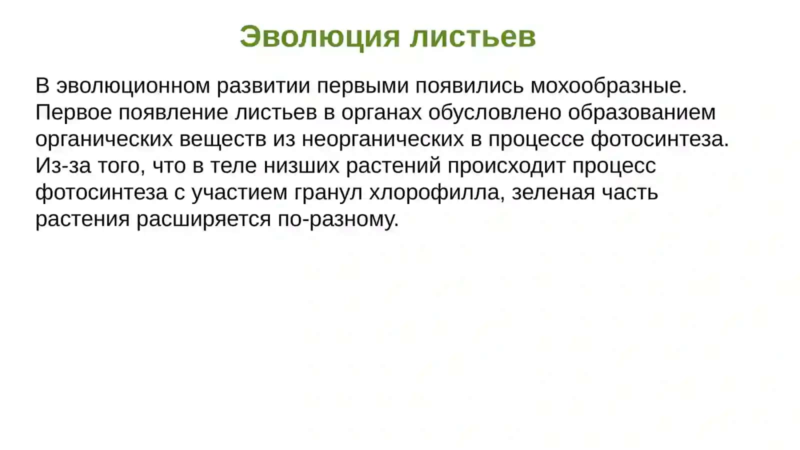 Морфология листа. Анатомическое строение листа. Деформированные листья 3