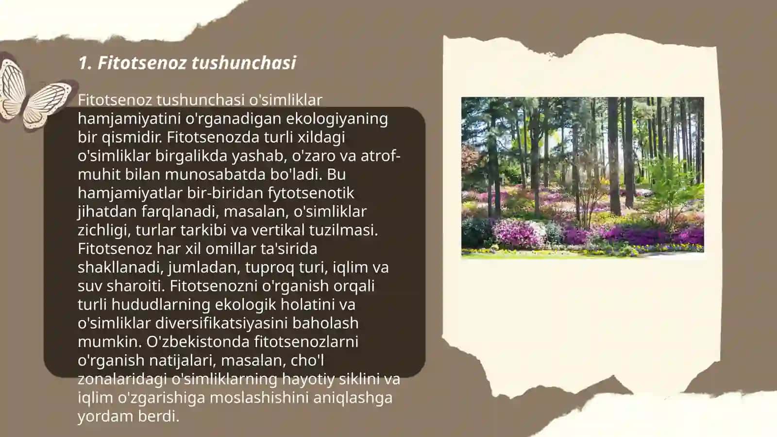 Fitotsenoz strukturasi 3
