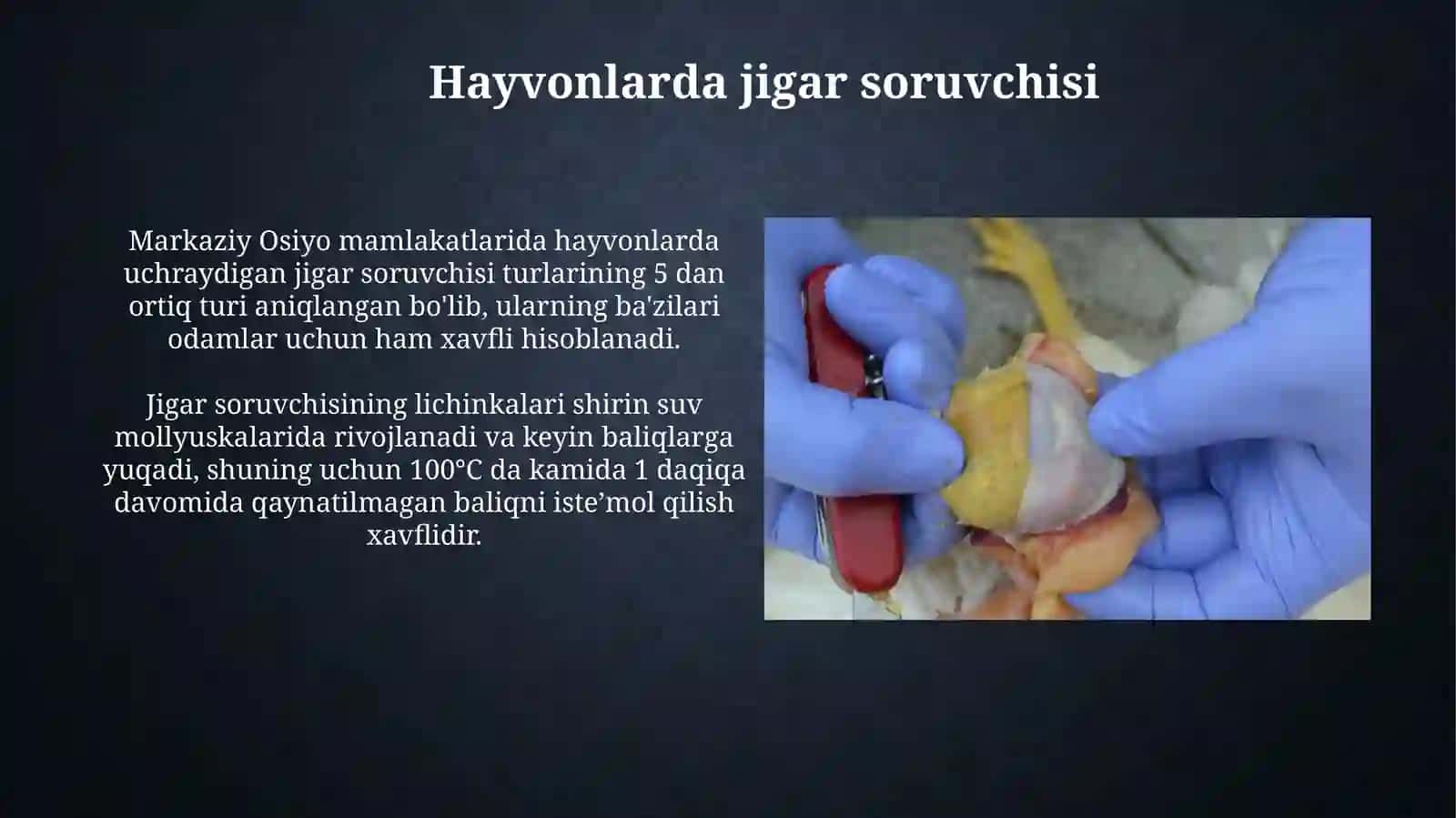 Jigar soruvchisi 3