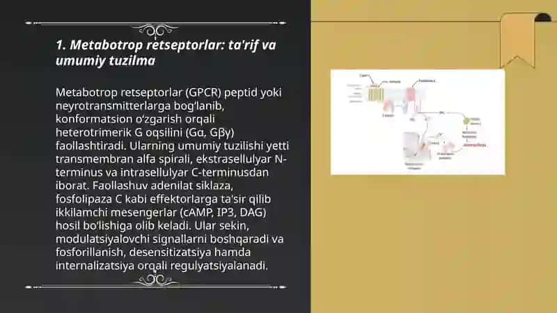 Metabotrop retseptorlar va ikkilamchi mesenger turlari 3
