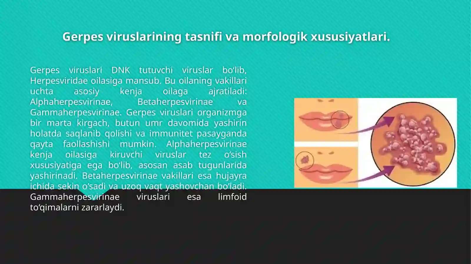 Gerpes viruslari 3