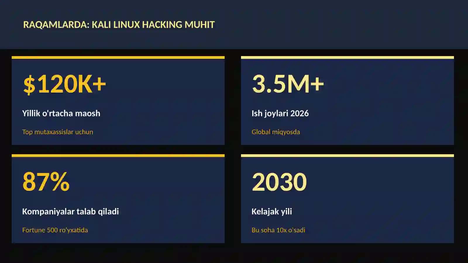 Kali Linux hacking muhit 3