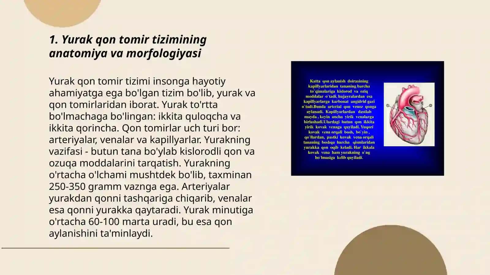 Yurak qon tomir tizimining yoshga oid fiziologiyasi va gigiyenasi 3