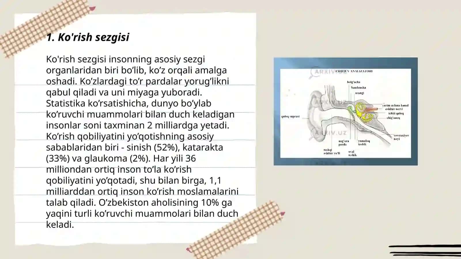 Sezgi 3