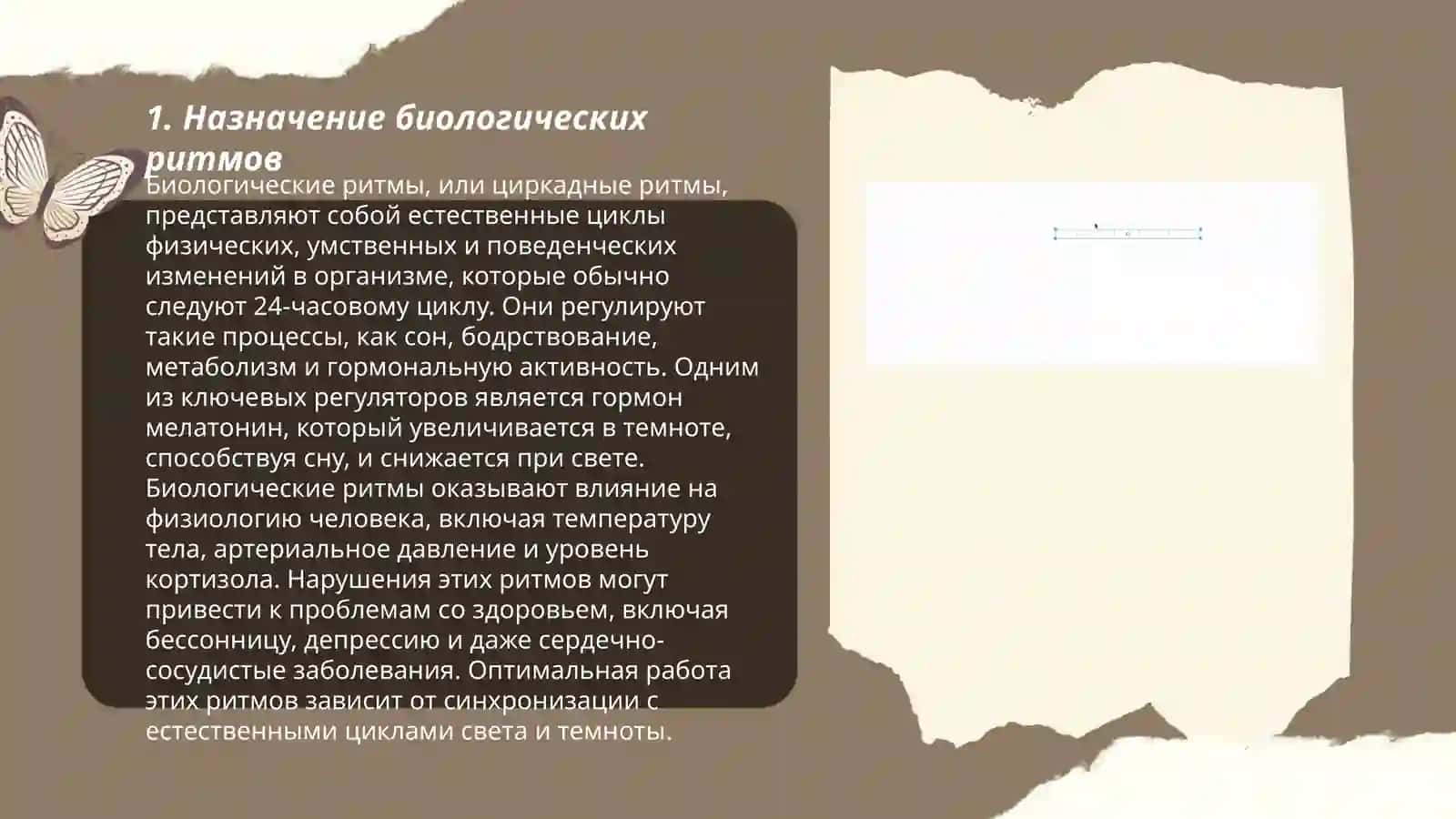 Биологический ритм "сон-бодрствование" 3