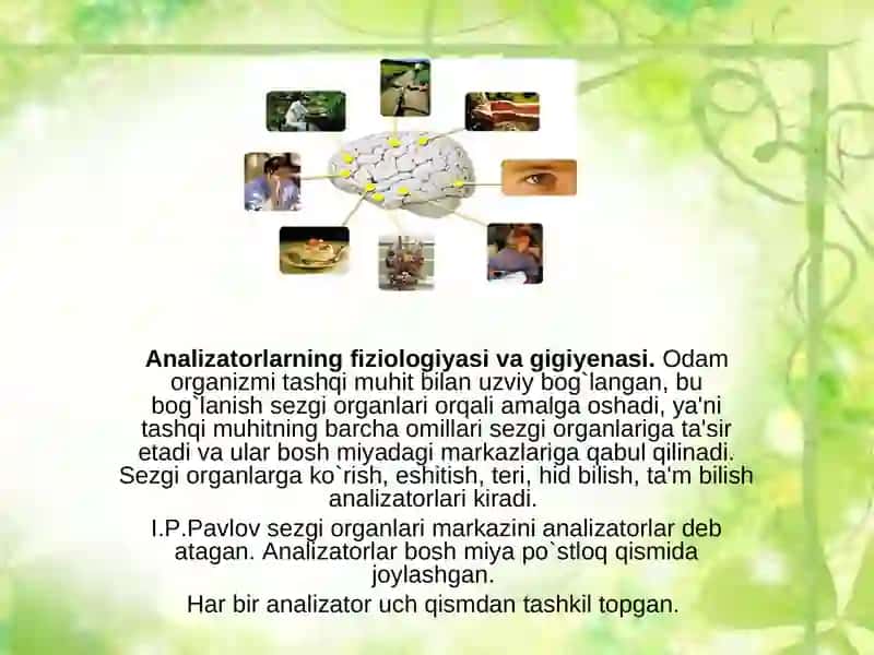 KO'RUV ANALIZATORI. KO'ZNING OPTIK VA RETSEPTOR TIZIMI 3