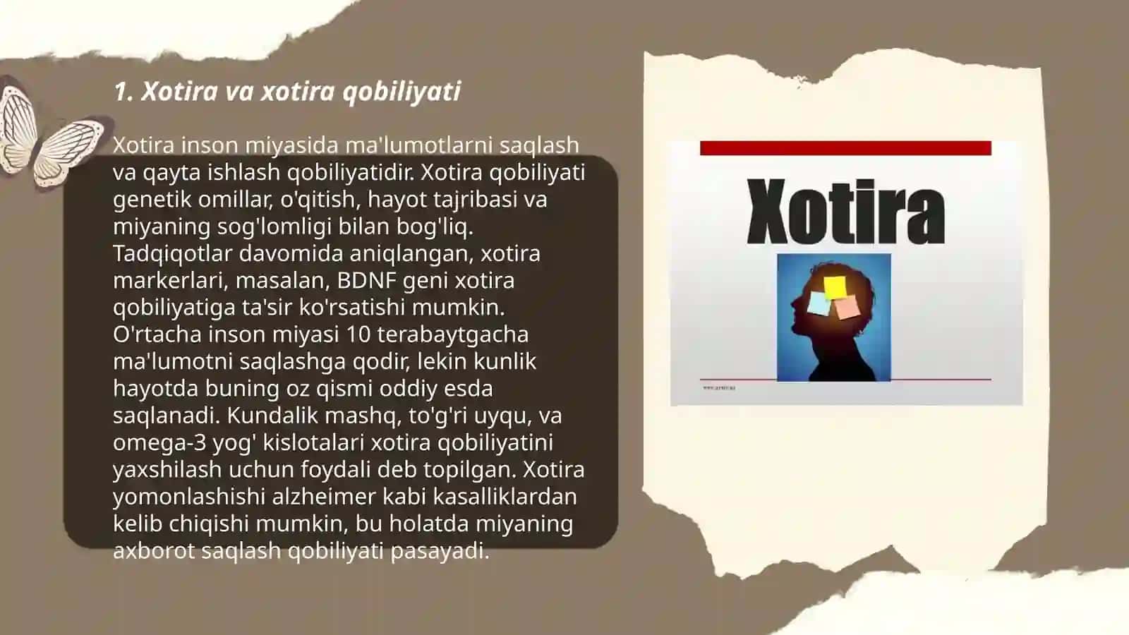 Xotira 3