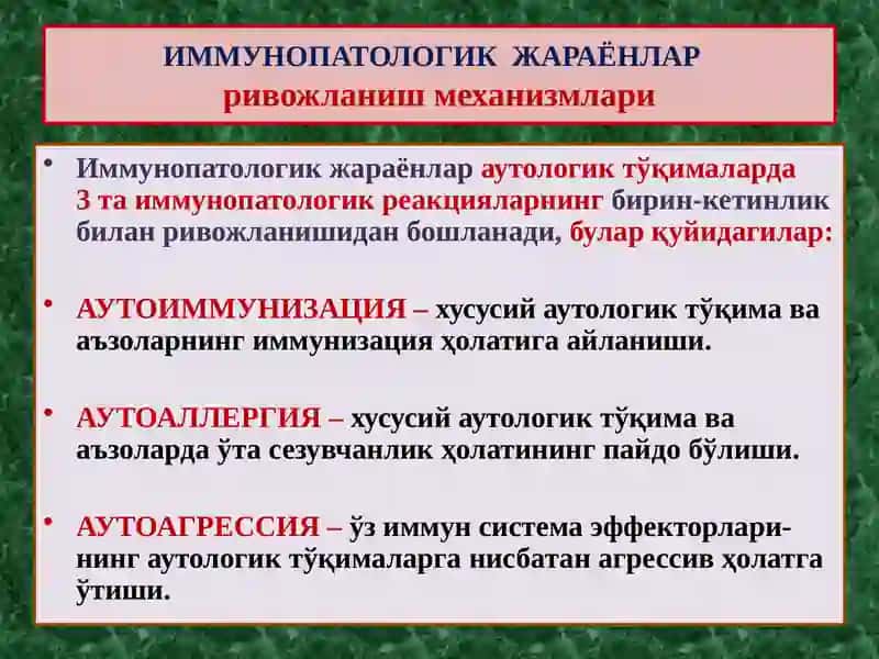 ИММУНОГЕНЕЗНИНГ СХЕМАТИК ТАСВИРИ 3