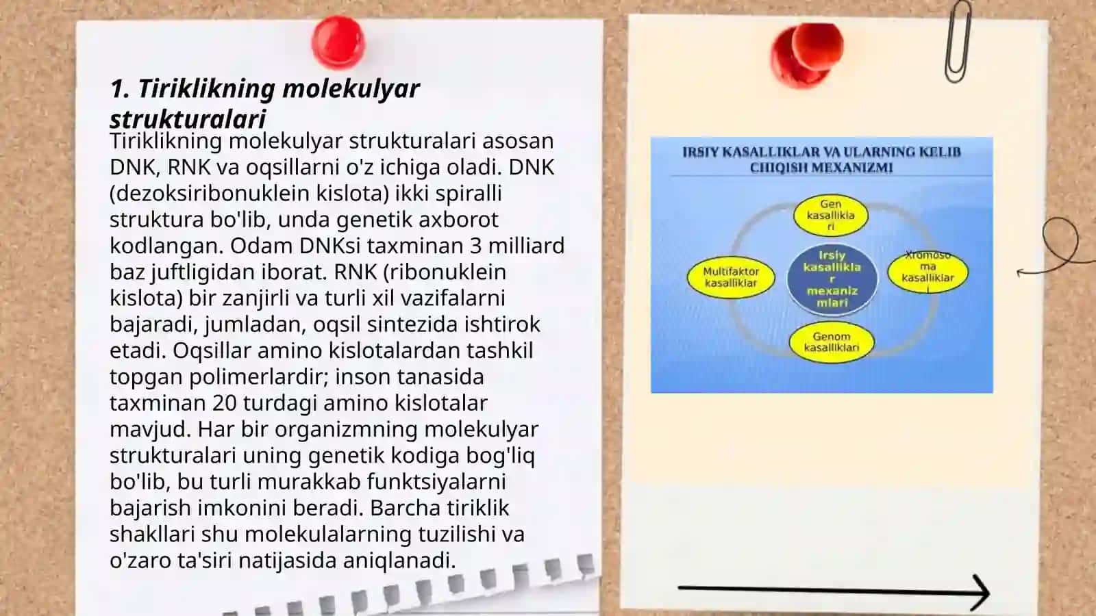 Tiriklikning molekulyar asoslari va Nuklein kislotalari va ularning irsiy belgilari 3