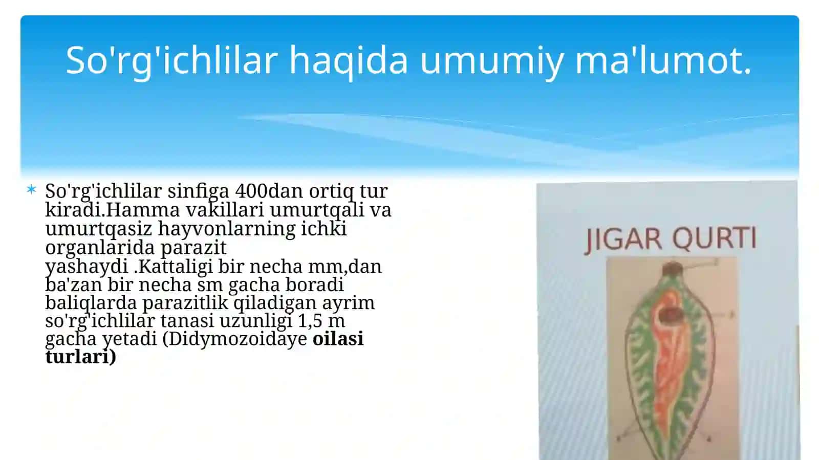 Jigar qurtining tuzilishi 3