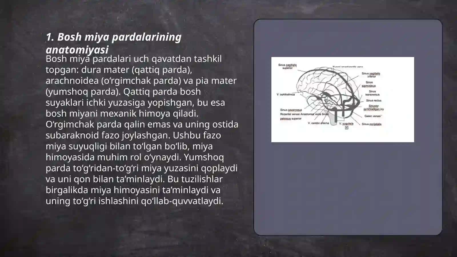 Bosh miya pardalarining vena boʻshliqlari va sistemalari. Sinuslarning hosil boʻlishi 3