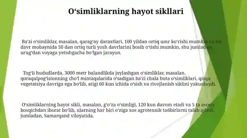 O'simliklarda davrlar va mavsumiy hodisalar 3