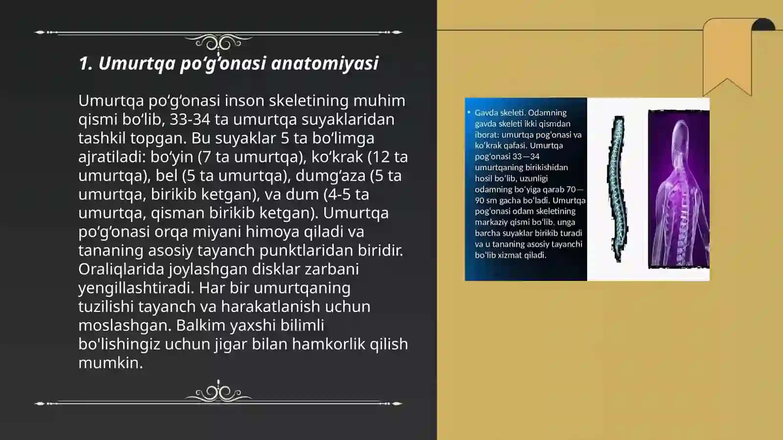 Umurtqa po‘g‘onasi, bo‘limlari va kasalliklari 3