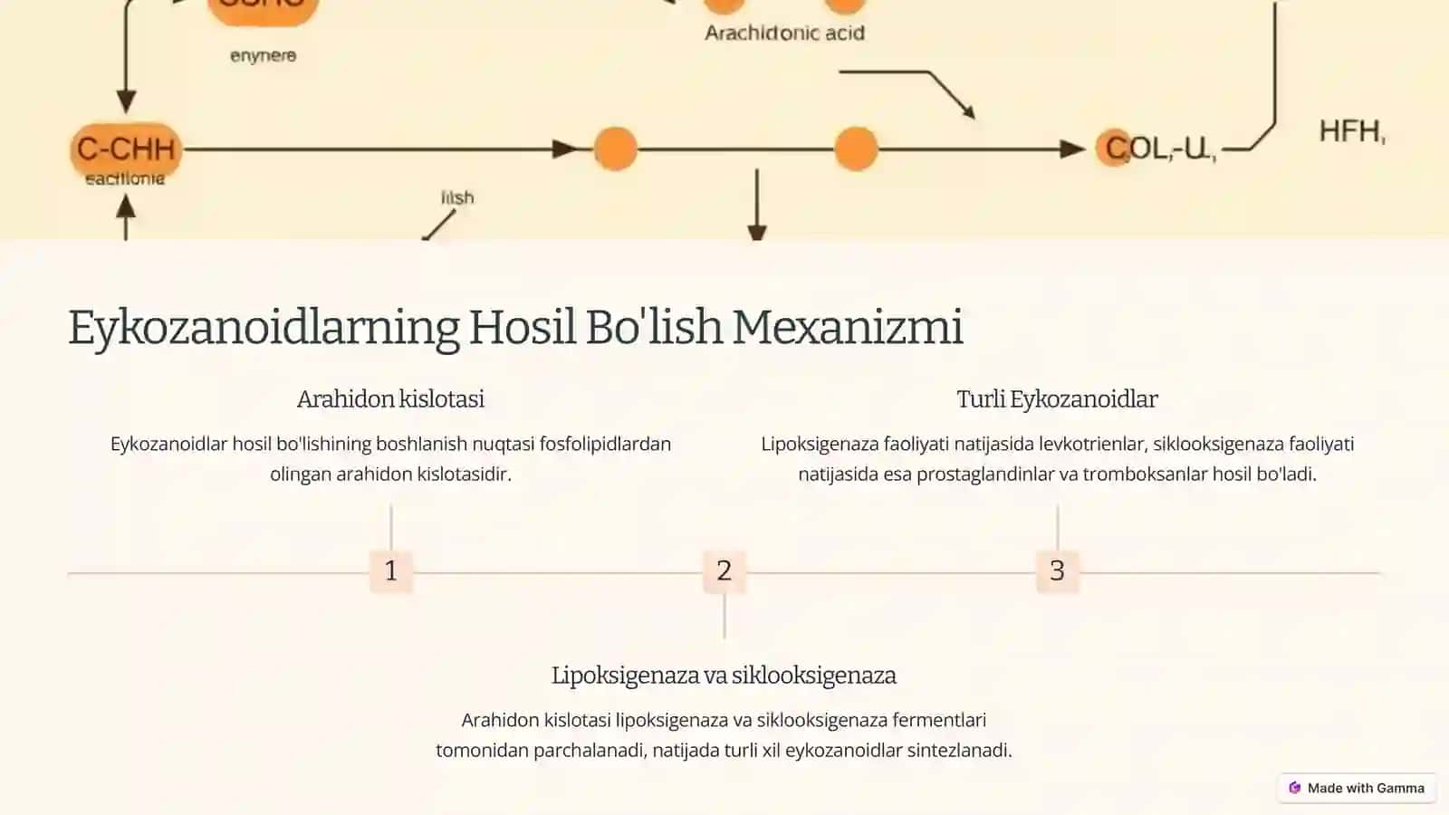 Eykozanoidlarhosil bo‘lish mexanizmi, turlari, ta‘siri 3