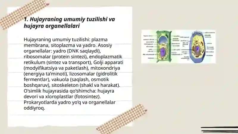 Hujayra biologiyasi 3