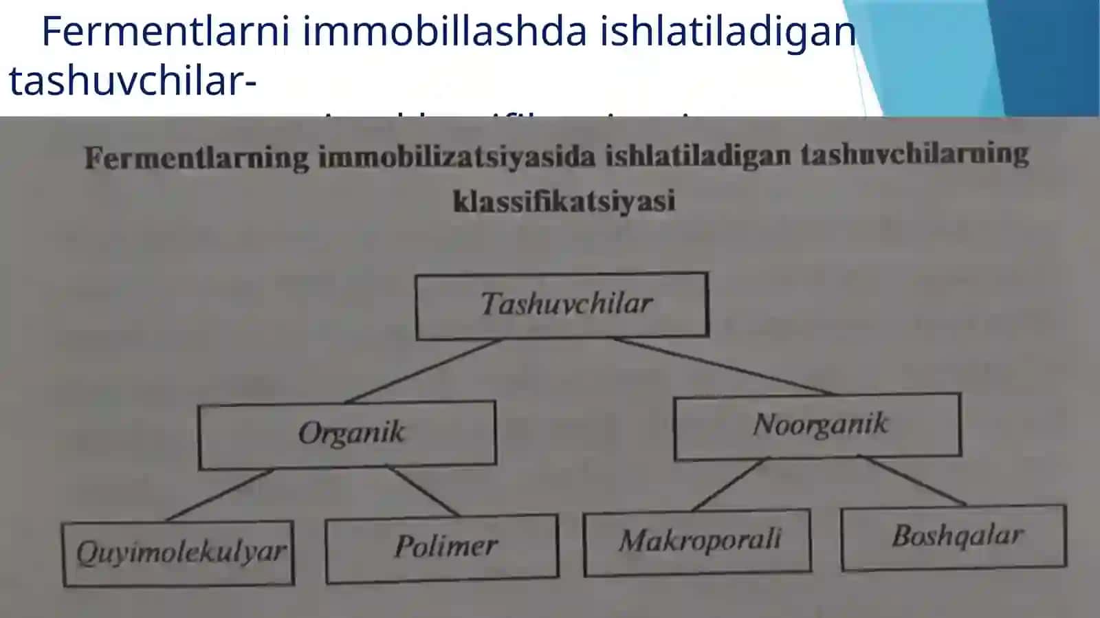Immobilizatsiyalangan fermentlar 3